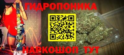 винт Донецк